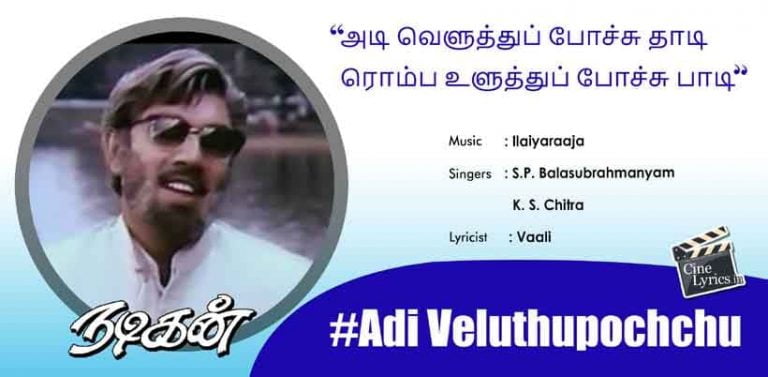 Adi Veluthupochchu Thaadi Song Lyrics in Tamil